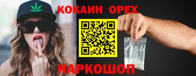 шишки Изобильный
