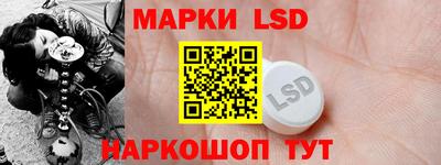 шишки Изобильный