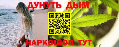 шишки Изобильный