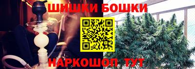 шишки Изобильный